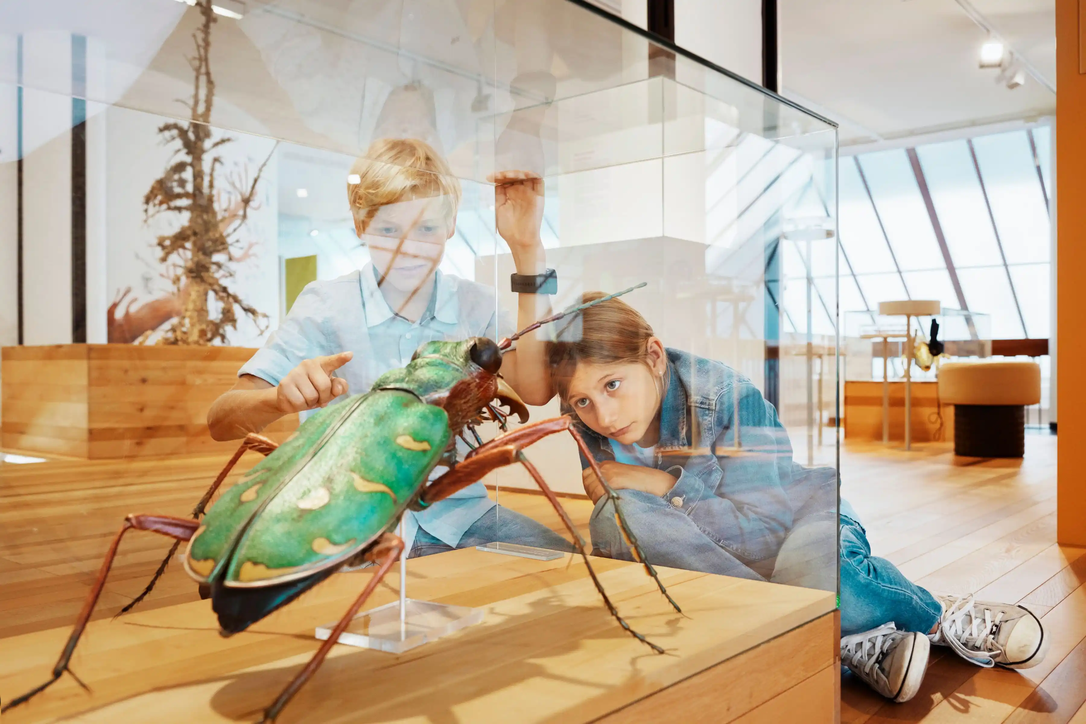 A kid watching a type of insect at the Nature Museum in Chur, which comes under free museums with Swiss Travel Pass